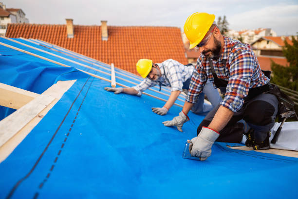 Best Chimney Flashing Repair  in Eslon, CA